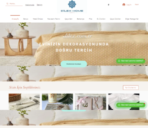 Dilex Firması E-Ticaret Sitesi